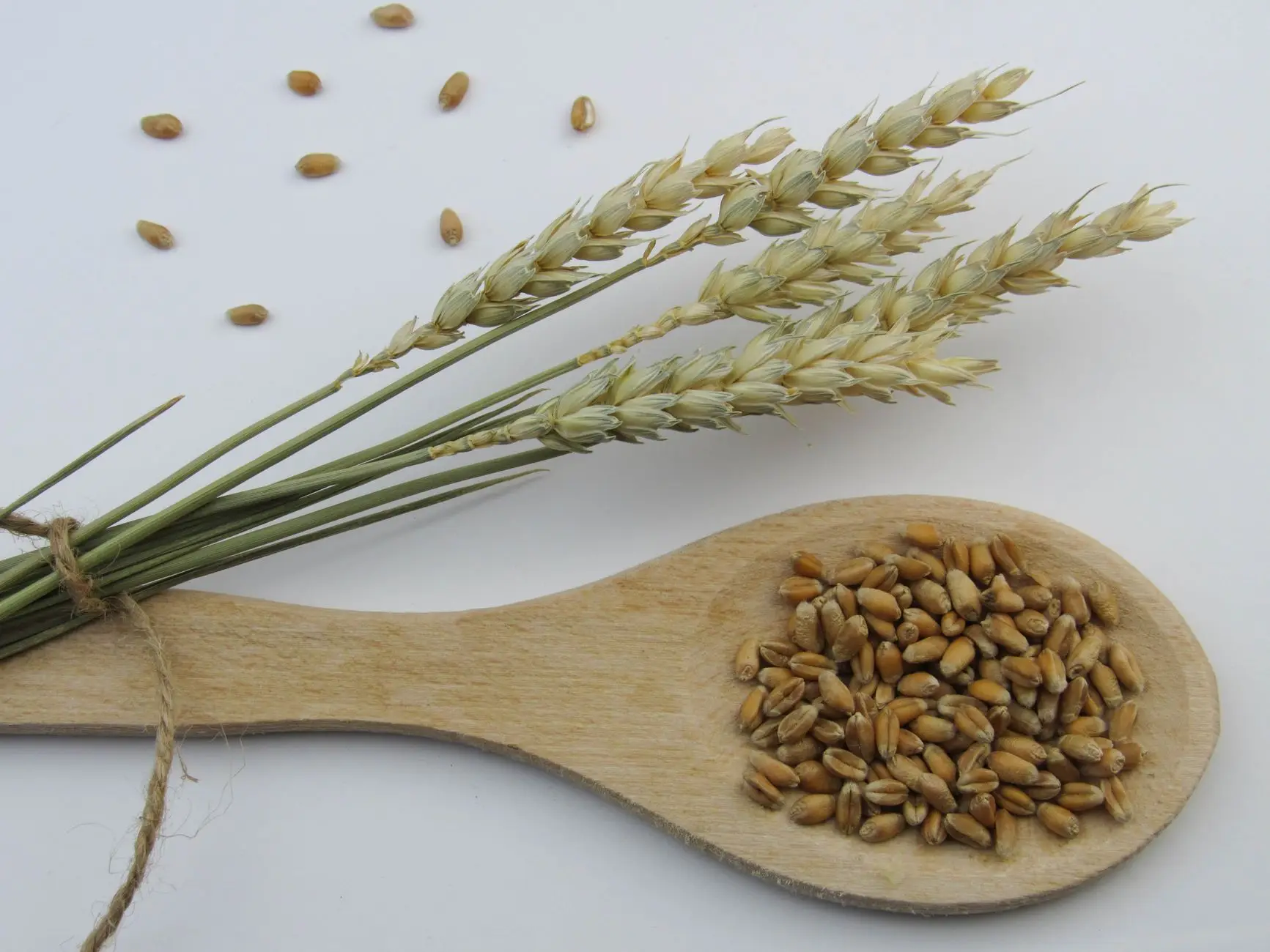 上海制造企业机床租赁方案对比：长期融资与短期租赁的成本分析
